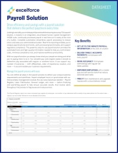 ExcelForce Payroll Solution Datasheet