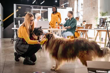 Pets in the Workplace: Benefits, Risks, and Policies Every Employer Should Know