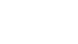 Arista